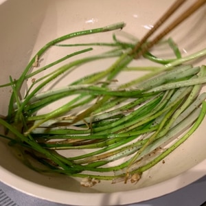 簡単 島らっきょうの茎の炒めもの レシピ 作り方 By ひろみかん 楽天レシピ 簡単 島らっきょうの茎の炒めもの レシピ 作り方 By ひろみかん 楽天レシピ